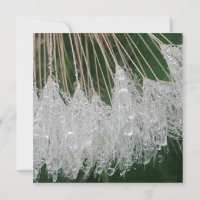 Water droplets