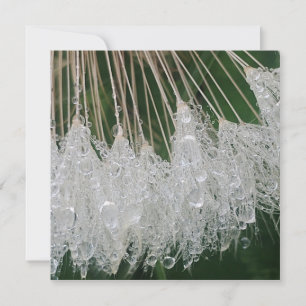 Water droplets invitation