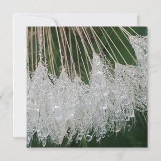 Water droplets invitation