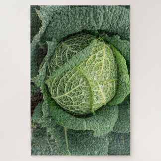 Water droplets on a cabbage jigsaw puzzle