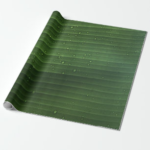 Water droplets on green leaf wrapping paper