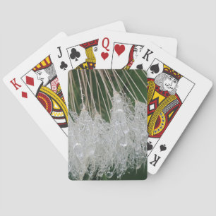Water droplets playing cards