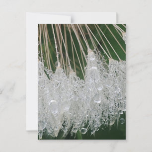 Water droplets postcard