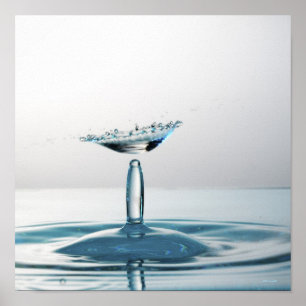 Water drops colliding to shape an umbrella poster