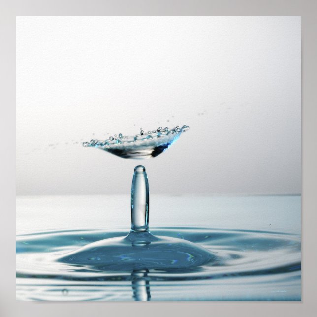 Water drops colliding to shape an umbrella poster (Front)