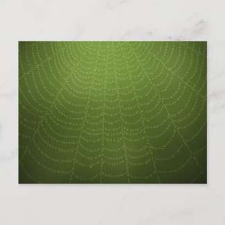 Water drops on a spider web postcard
