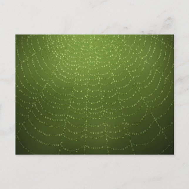Water drops on a spider web postcard (Front)