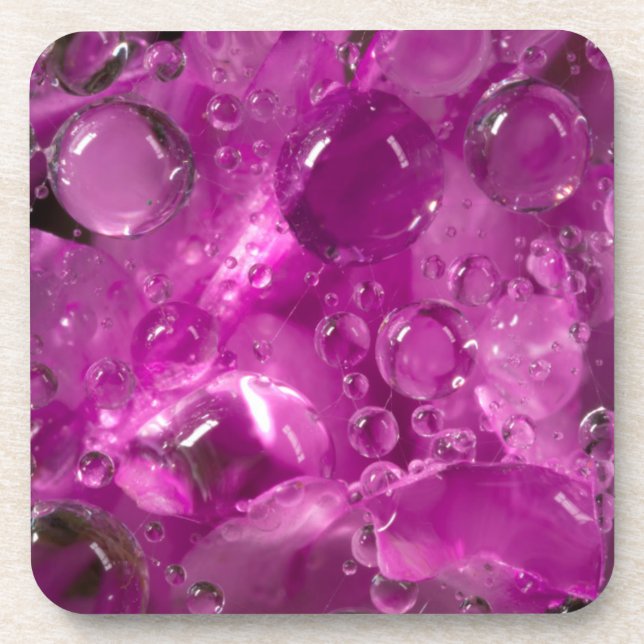 Water drops on flower, California Coaster (Front)