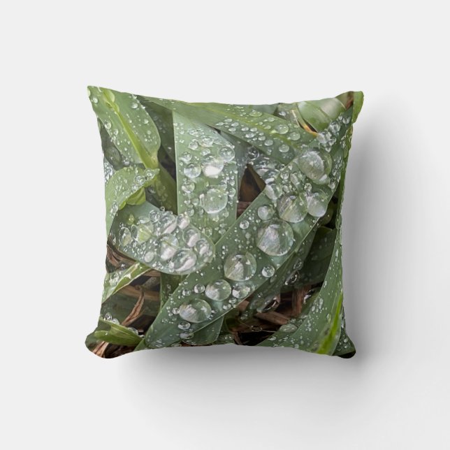 Water drops on grass cushion (Front)