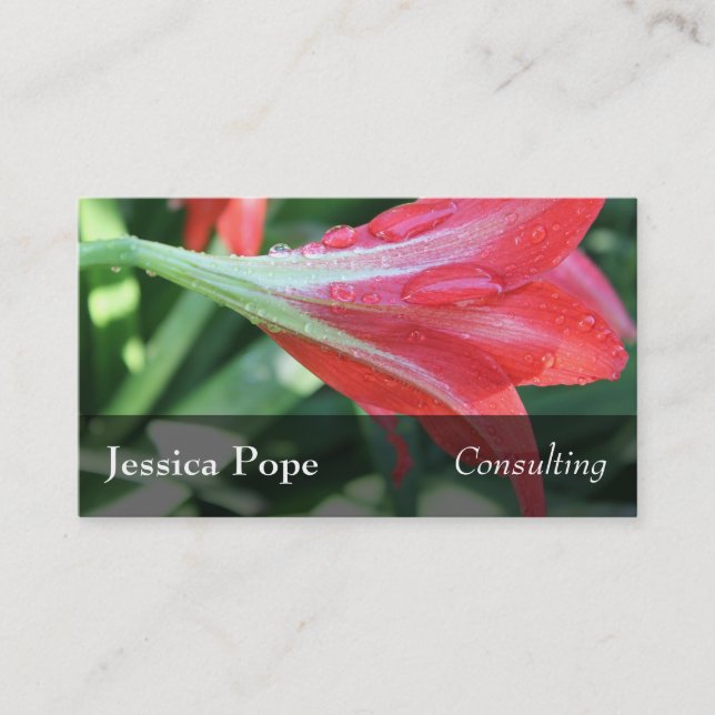 Water Drops on Red Daylilies Photo, 2 Business Card (Front)