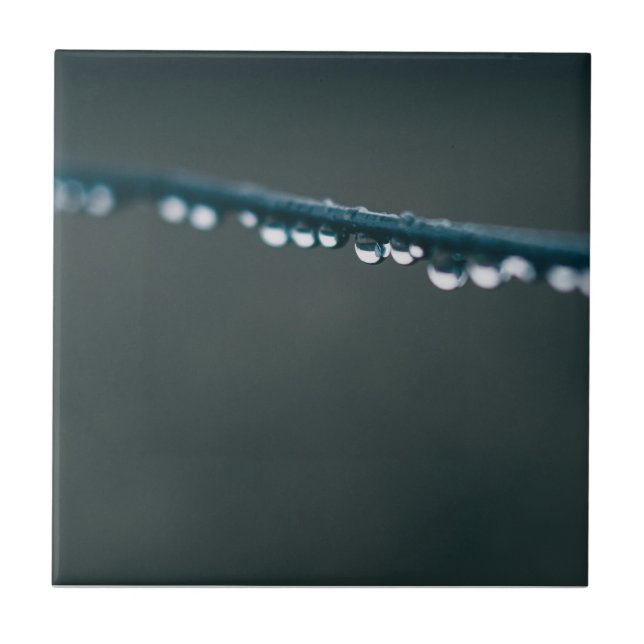 Water drops on wire tile (Front)