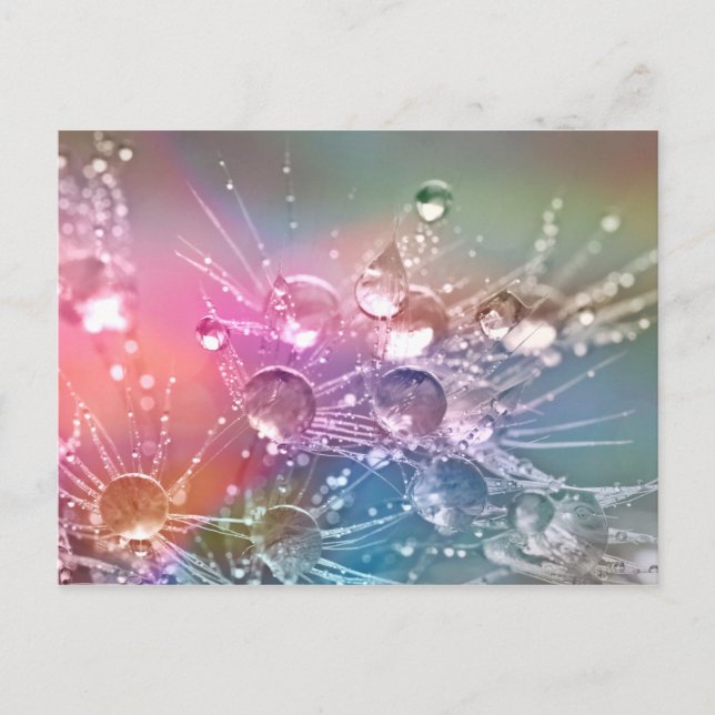 Water Drops Postcard (Front)