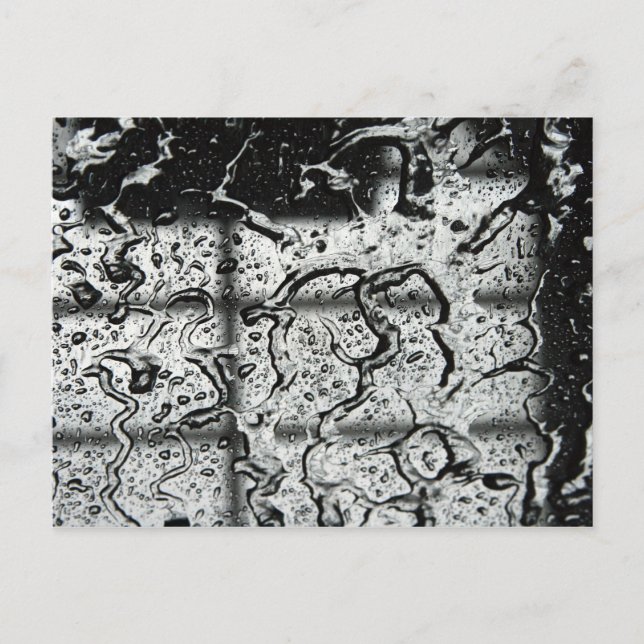 Water Drops Postcard (Front)