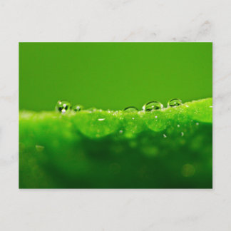 Water drops postcard