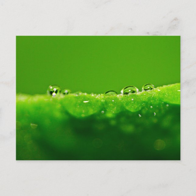 Water drops postcard (Front)