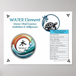 Water Element Acupuncture Poster