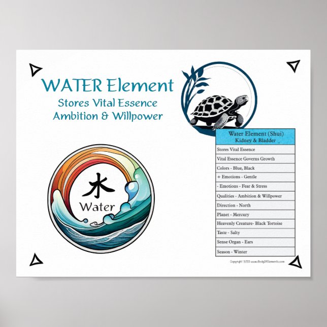 Water Element Acupuncture Poster (Front)