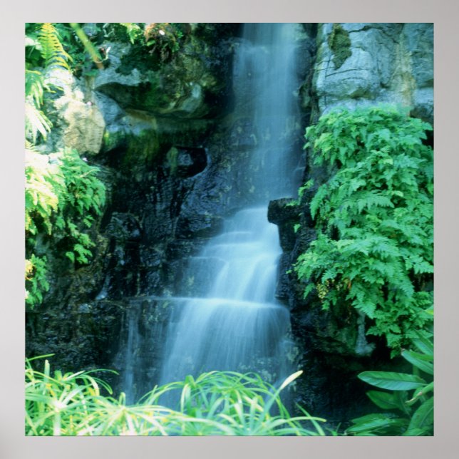 WATER FALL at SHAWS GARDEN Poster (Front)