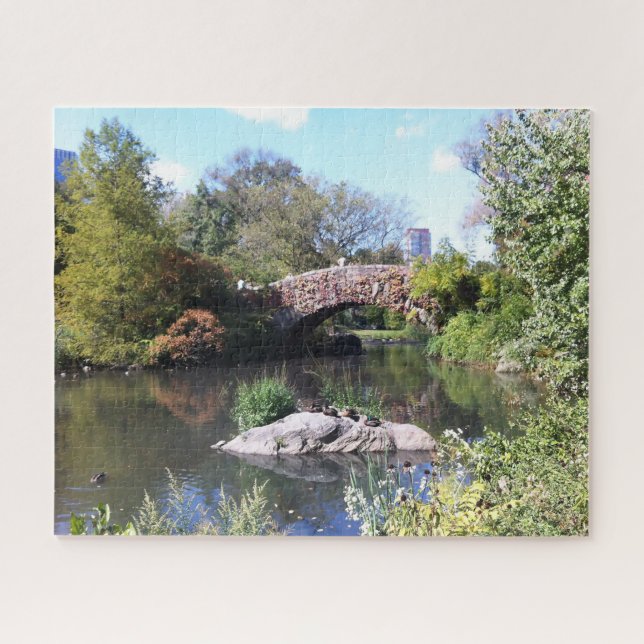 Water Feature Central Park New York Jigsaw Puzzle (Horizontal)