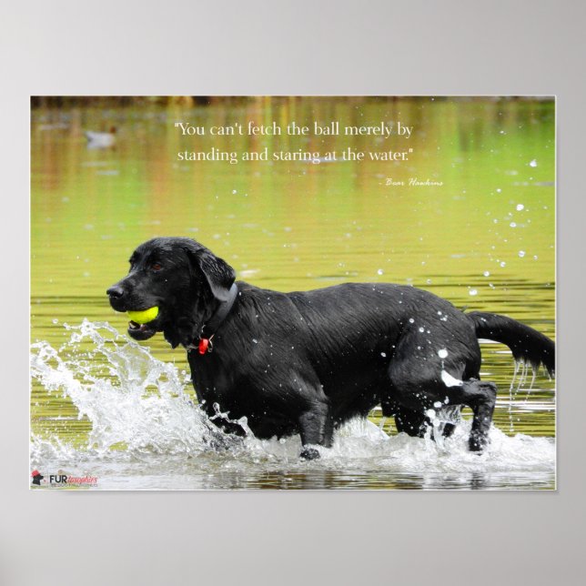Water Fetch Poster (Front)