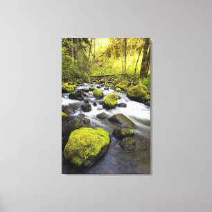 Water Flowing By Moss Covered Rocks In A Stream Canvas Print