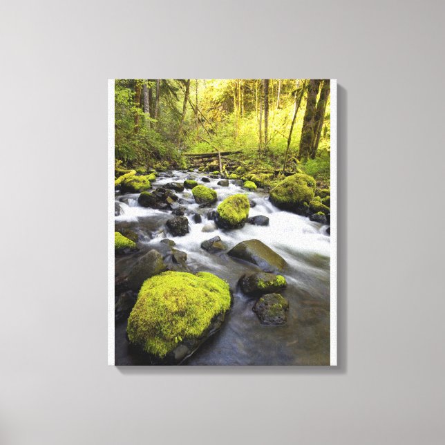 Water Flowing By Moss Covered Rocks In A Stream Canvas Print (Front)
