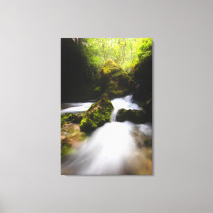 Water flowing through enchanted mossy forest canvas print