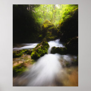 Water flowing through enchanted mossy forest poster