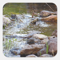 Water Flowing Through Rocks