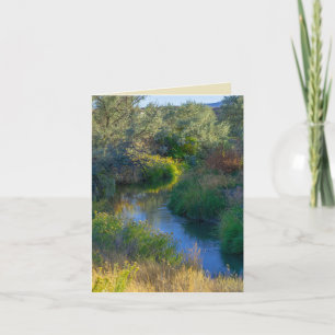 Water flows in the stream like a painting card