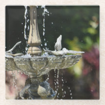 Water Fountain Glass Coaster