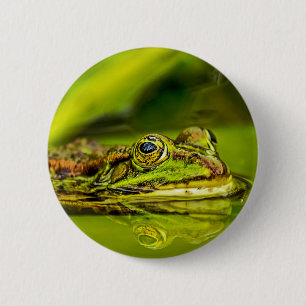 water frog 6 cm round badge
