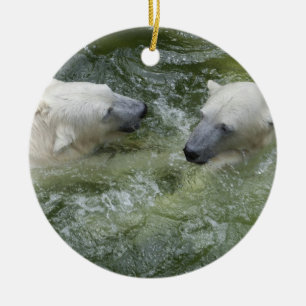 Water Fun Polar Bears Ceramic Tree Decoration