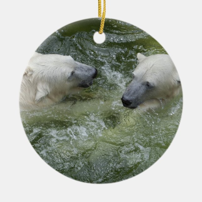Water Fun Polar Bears Ceramic Tree Decoration (Front)