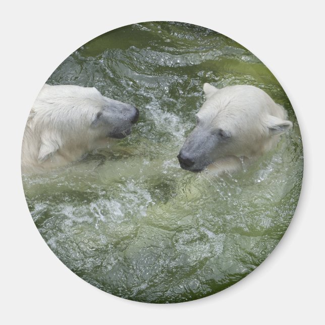 Water Fun Polar Bears Magnet (Front)