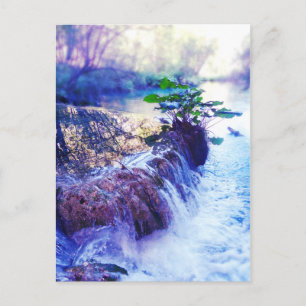 water haze postcard