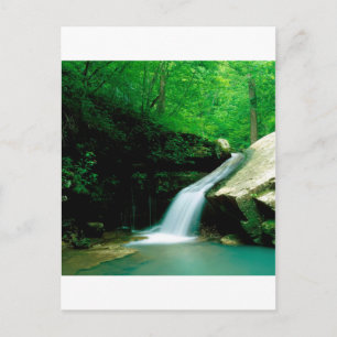 Water Indian Creek Buffalo National River Postcard