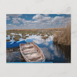 Water Kayseri Turkey Postcard