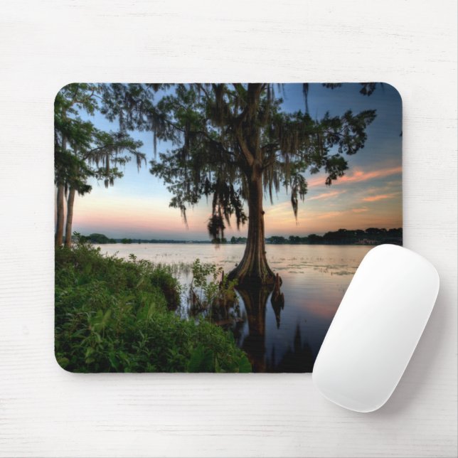 Water | Kraft Azalea Park Maitland Florida Mouse Pad (With Mouse)