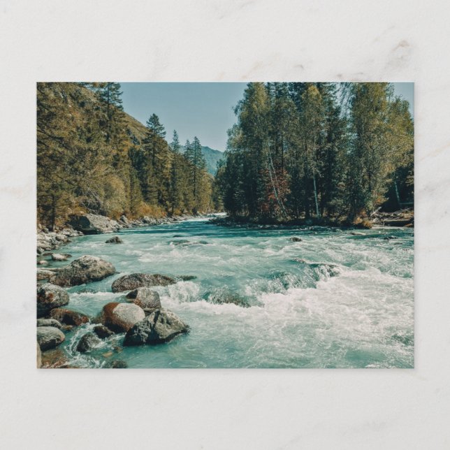 Water | Kucherla River, Altai Mountains Postcard (Front)