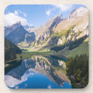 Water Lake Alpsee Switzerland Coaster