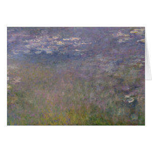 Water Lilies Agapanthus