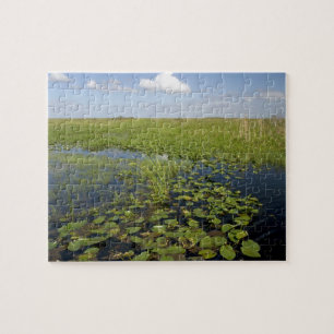 Water lilies and sawgrass in Florida everglades 2 Jigsaw Puzzle