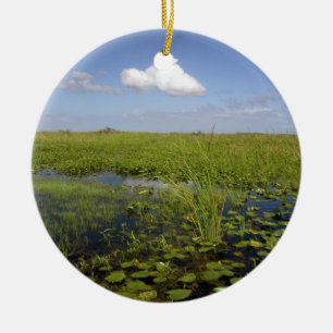 Water lilies and sawgrass in Florida everglades Ceramic Tree Decoration