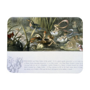 Water-Lilies and Water Fairies, illustration from Magnet