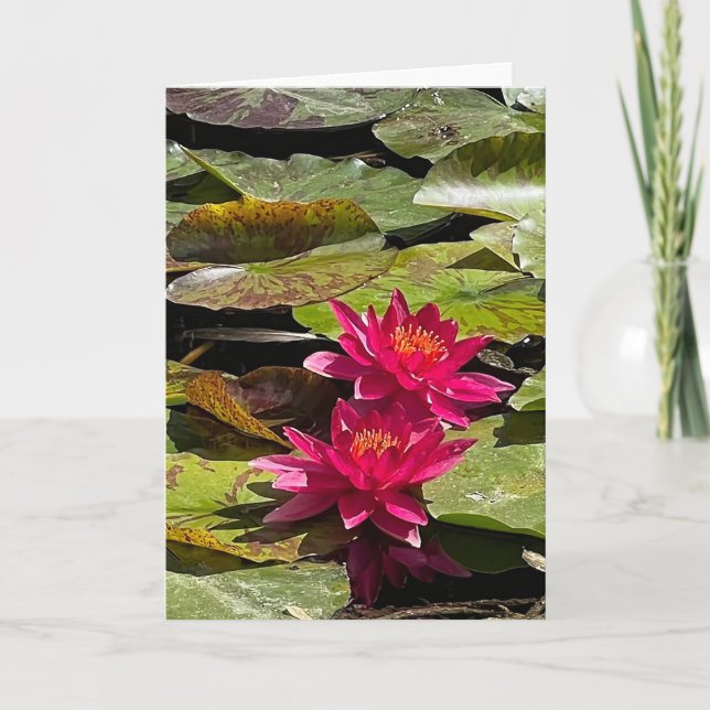Water Lilies Blank Note Card (Front)
