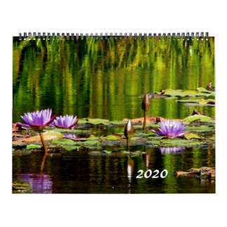Water Lilies Calendar 2020