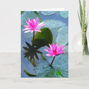 Water Lilies Card