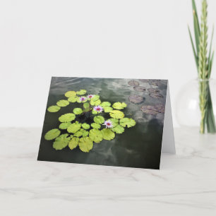 Water Lilies Card