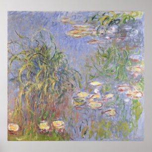 Water-Lilies, Cluster of Grass Poster
